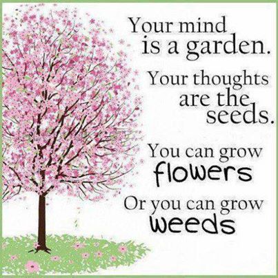 Your mind is a Garden