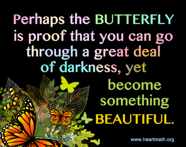 The Butterfly is Proof