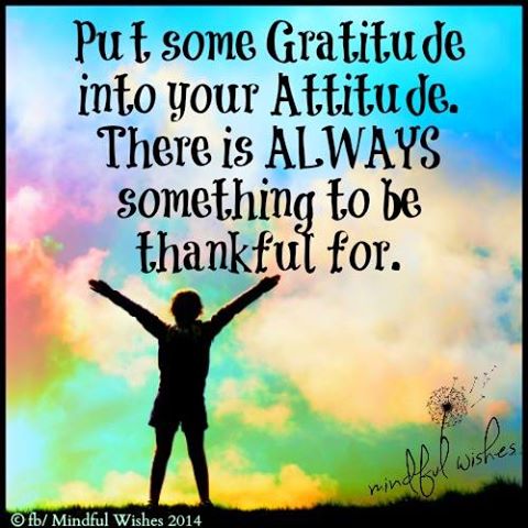 Gratitude into Your Attitude