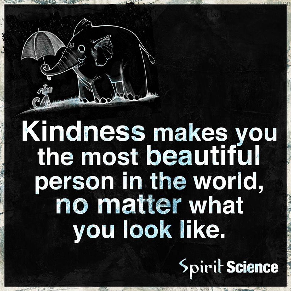 Kindness Makes You the Most Beautiful Person