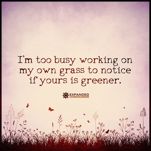 I'm too busy working on my own grass