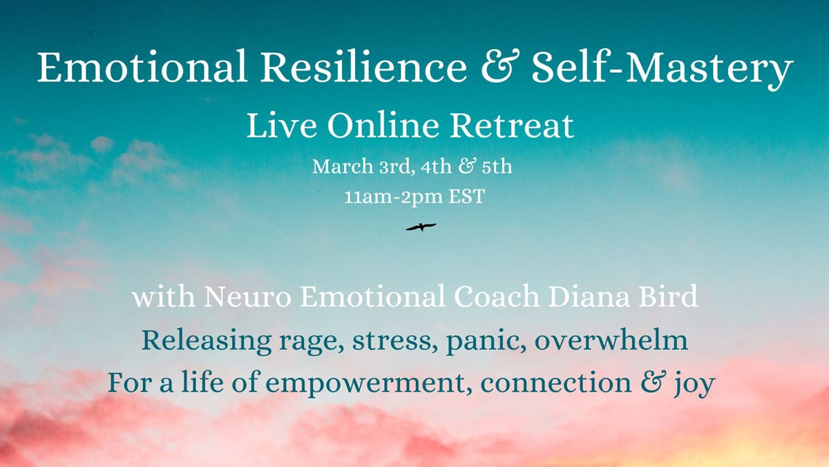 Diana Bird, Emotional Resilience & Emotional Self Mastery