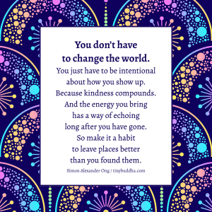 You Don’t Have to Change the World